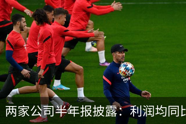 两家公司半年报披露：利润均同比大增逾十倍