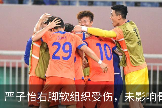 严子怡右脚软组织受伤，未影响骨骼健康