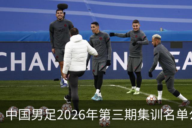 中国男足2026年第三期集训名单公布 武磊回归