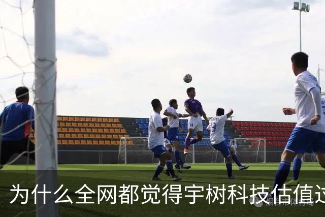 为什么全网都觉得宇树科技估值过高？