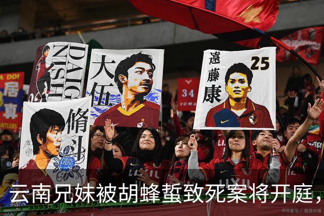 云南兄妹被胡蜂蜇致死案将开庭，父母心痛难以释怀