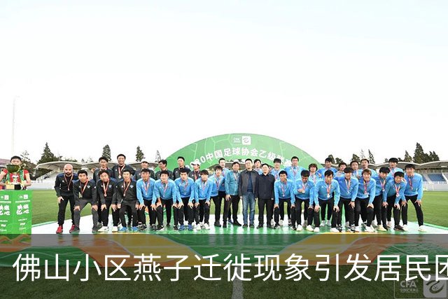 佛山小区燕子迁徙现象引发居民困扰，专家呼吁人鸟和谐共存