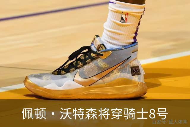 佩顿·沃特森将穿骑士8号