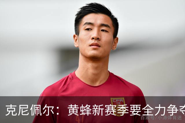 克尼佩尔：黄蜂新赛季要全力争夺季后赛名额