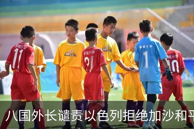 八国外长谴责以色列拒绝加沙和平方案与巴建国