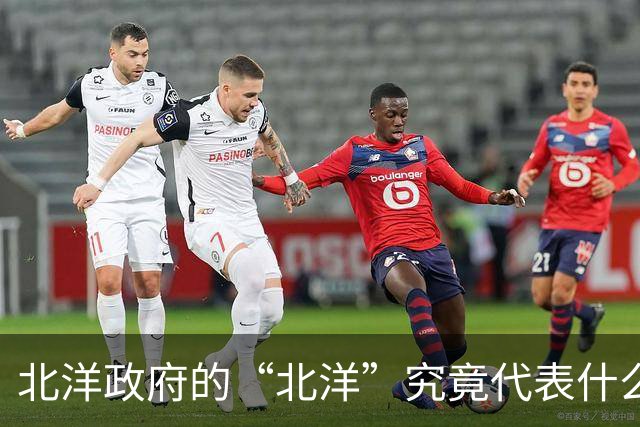 北洋政府的“北洋”究竟代表什么？