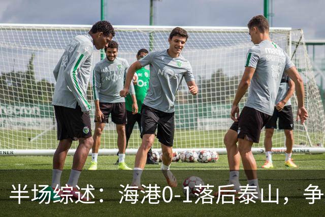 半场综述：海港0-1落后泰山，争议判罚引热议