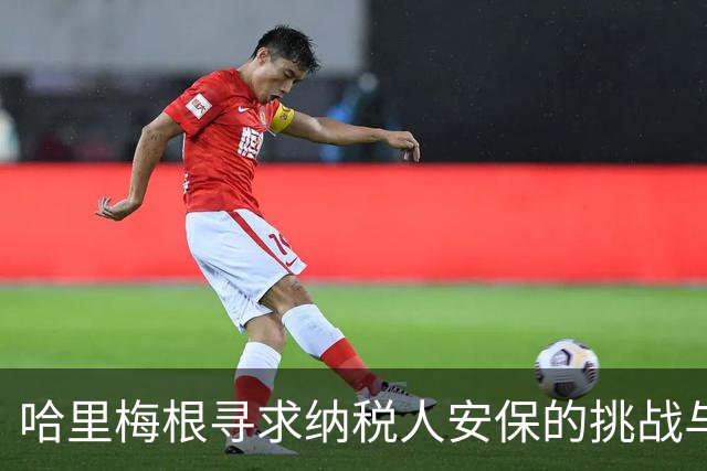哈里梅根寻求纳税人安保的挑战与现实