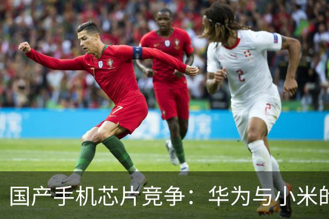 国产手机芯片竞争：华为与小米的不同发展路径