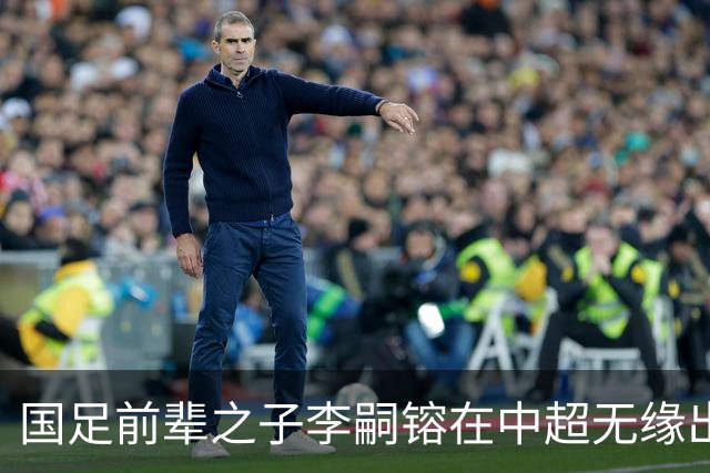国足前辈之子李嗣镕在中超无缘出场，面临职业生涯困境