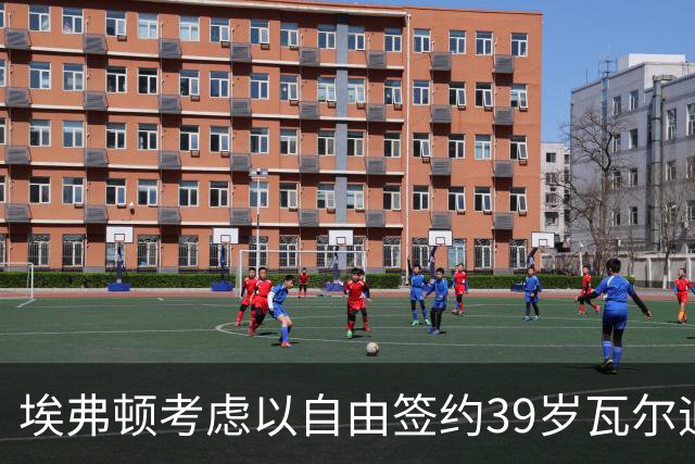 埃弗顿考虑以自由签约39岁瓦尔迪来补强锋线