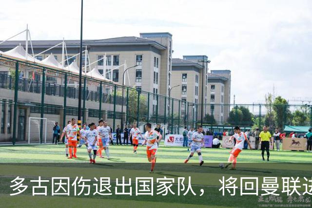 多古因伤退出国家队，将回曼联进一步检查