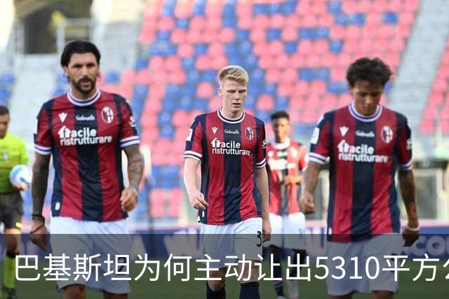 巴基斯坦为何主动让出5310平方公里土地给中国