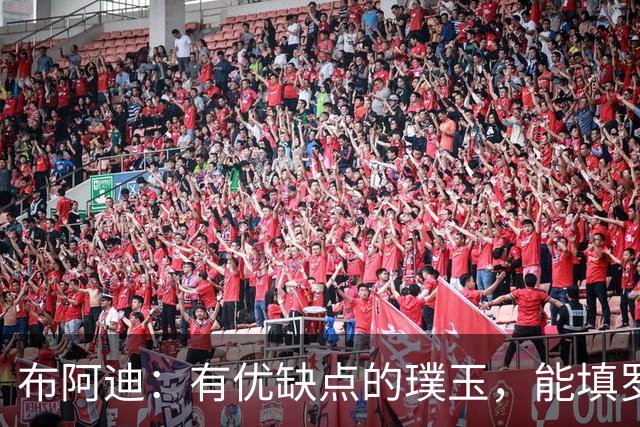 布阿迪：有优缺点的璞玉，能填罗德里的空缺吗