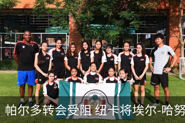 帕尔多转会受阻 纽卡将埃尔-哈努斯列为B选