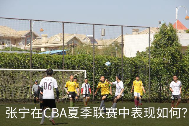 张宁在CBA夏季联赛中表现如何？