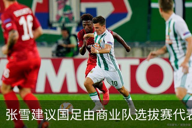 张雪建议国足由商业队选拔赛代表出战