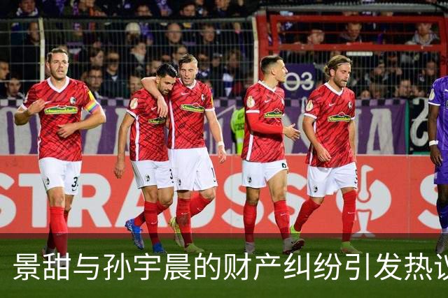 景甜与孙宇晨的财产纠纷引发热议，网友质疑其关系