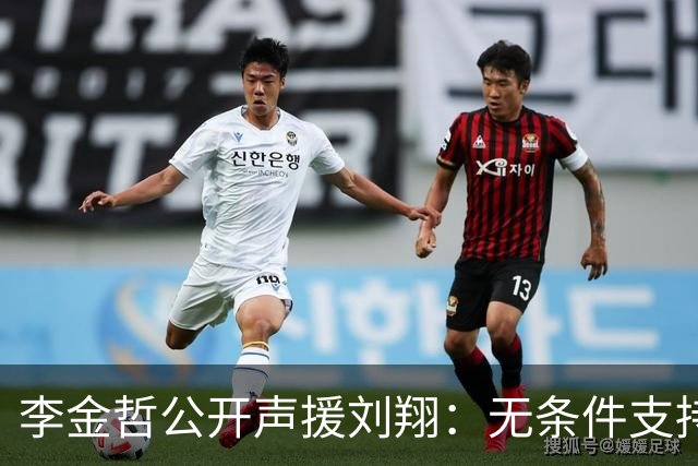 李金哲公开声援刘翔：无条件支持