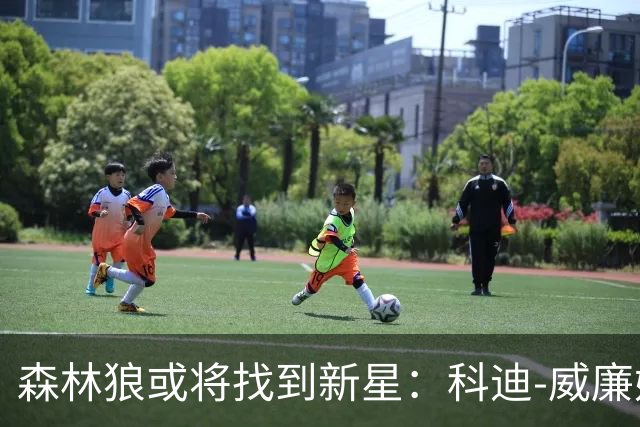 森林狼或将找到新星：科迪-威廉姆斯的潜力待挖掘
