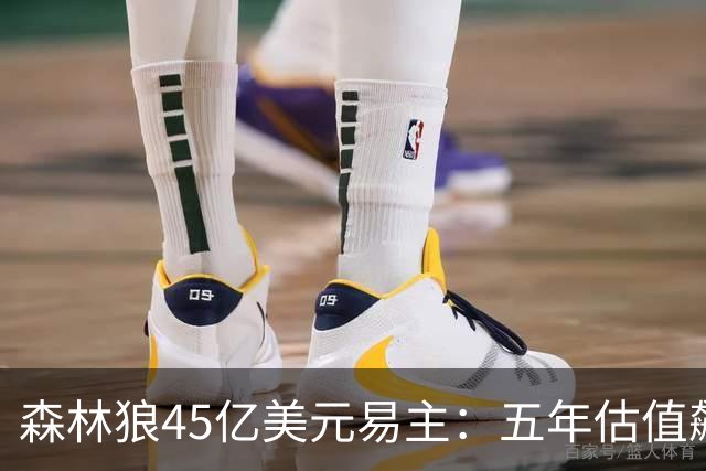 森林狼45亿美元易主：五年估值飙升三倍