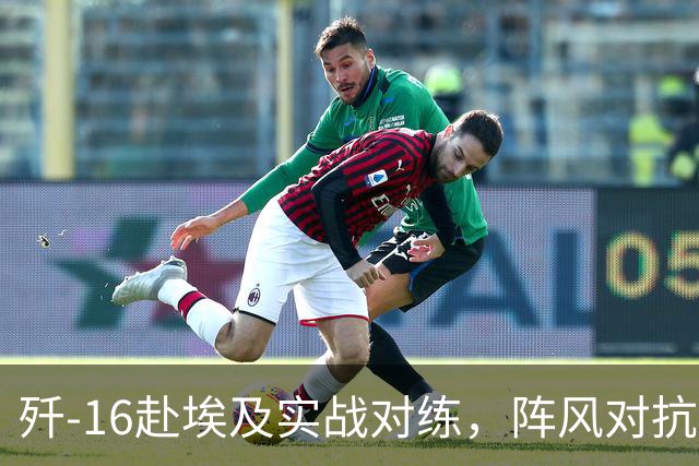 歼-16赴埃及实战对练，阵风对抗引发外交与军贸波澜