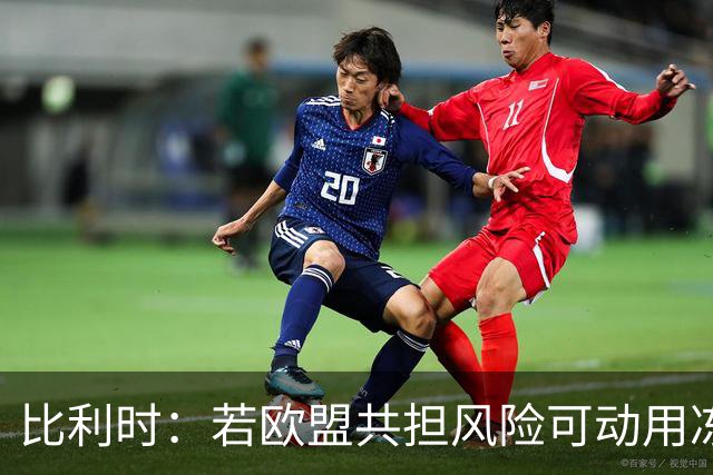 比利时：若欧盟共担风险可动用冻俄资产援乌