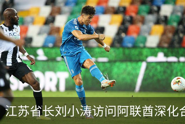 江苏省长刘小涛访问阿联酋深化合作关系