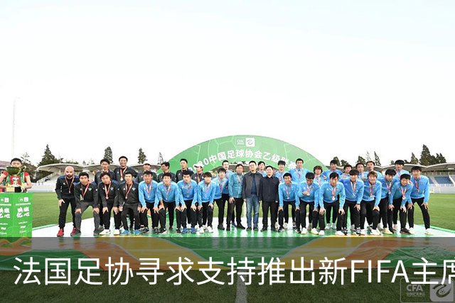 法国足协寻求支持推出新FIFA主席候选人