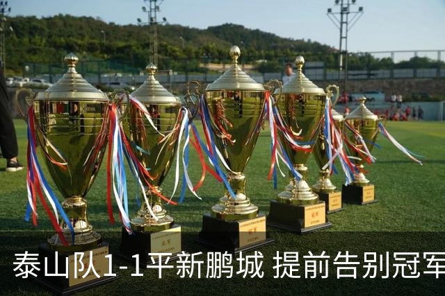 泰山队1-1平新鹏城 提前告别冠军争夺战