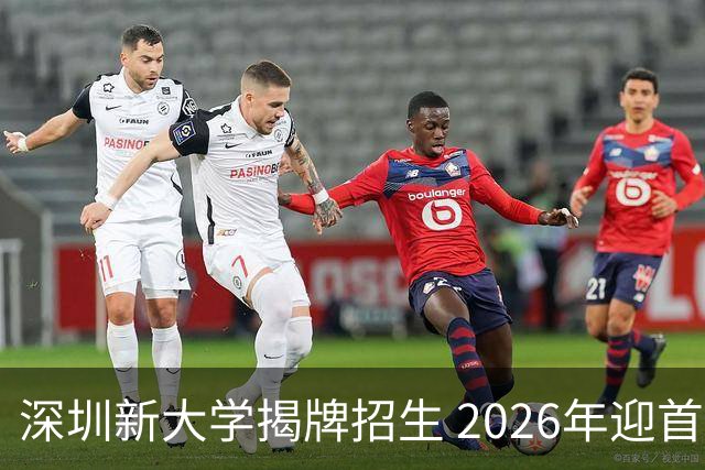 深圳新大学揭牌招生 2026年迎首届新生