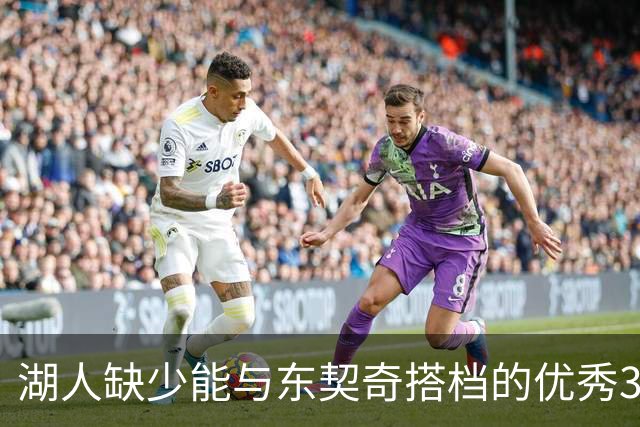 湖人缺少能与东契奇搭档的优秀3D侧翼