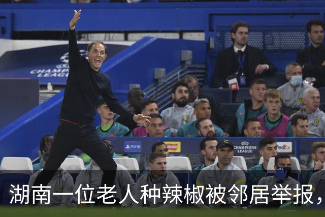 湖南一位老人种辣椒被邻居举报，农局调查现场意外发现