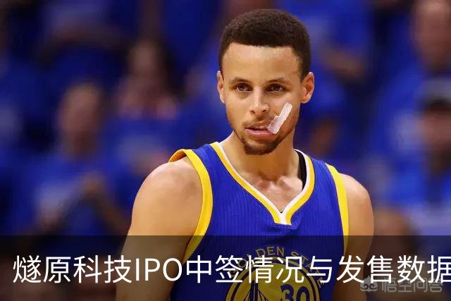 燧原科技IPO中签情况与发售数据公布