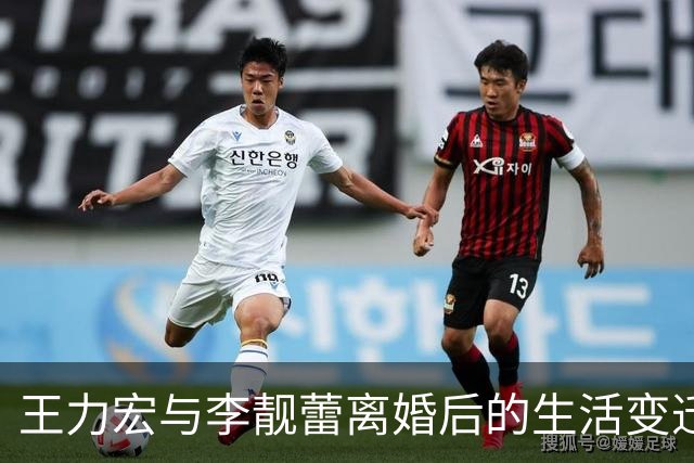 王力宏与李靓蕾离婚后的生活变迁