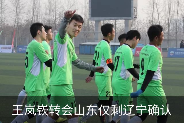 王岚嵚转会山东仅剩辽宁确认