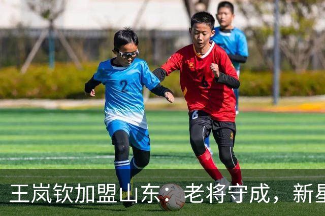 王岚钦加盟山东：老将守成，新星被押注