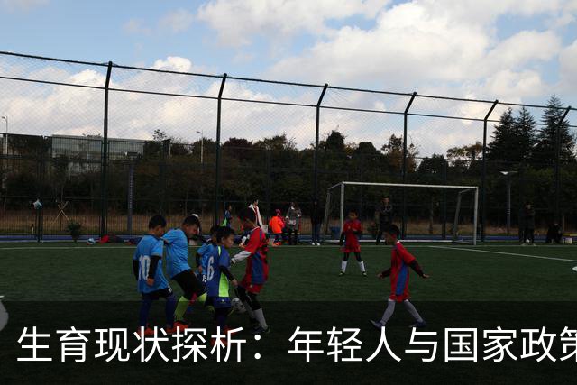 生育现状探析：年轻人与国家政策的复杂关系