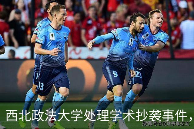 西北政法大学处理学术抄袭事件，俞某某被给予留校察看处分