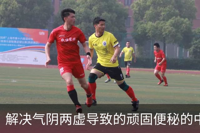 解决气阴两虚导致的顽固便秘的中药方