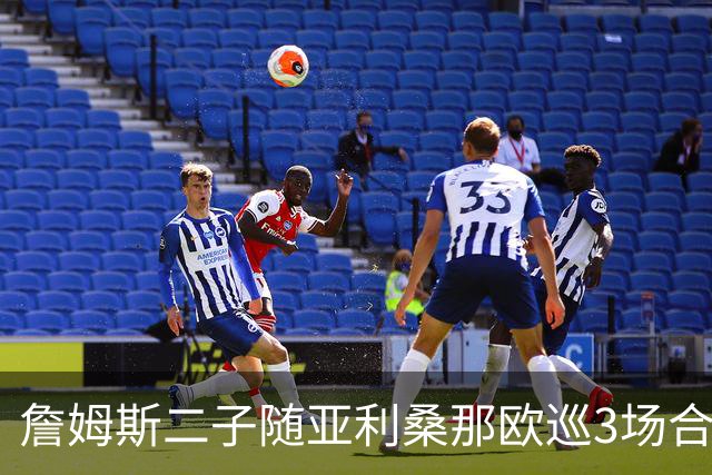 詹姆斯二子随亚利桑那欧巡3场合计12分