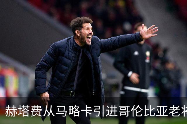 赫塔费从马略卡引进哥伦比亚老将莫希卡