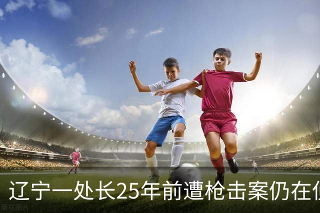 辽宁一处长25年前遭枪击案仍在侦办