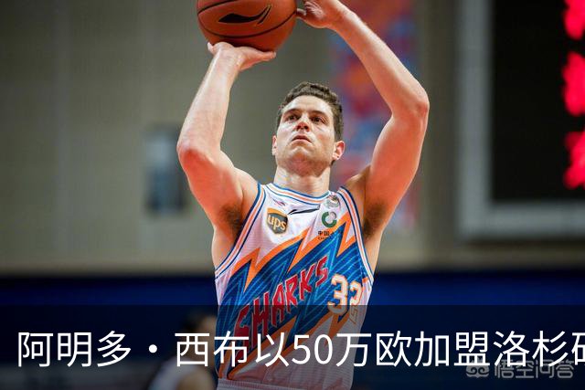 阿明多·西布以50万欧加盟洛杉矶俱乐部
