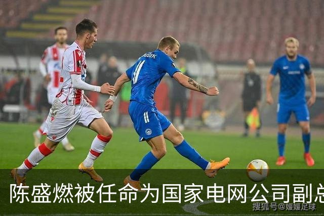 陈盛燃被任命为国家电网公司副总经理