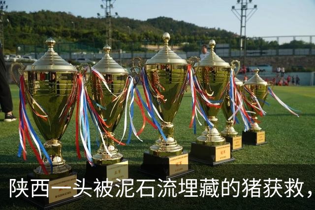 陕西一头被泥石流埋藏的猪获救，主人称其瘦了60多斤