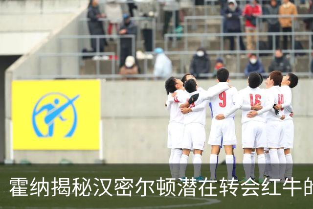 霍纳揭秘汉密尔顿潜在转会红牛的秘密会议