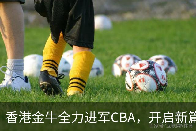 香港金牛全力进军CBA，开启新篇章