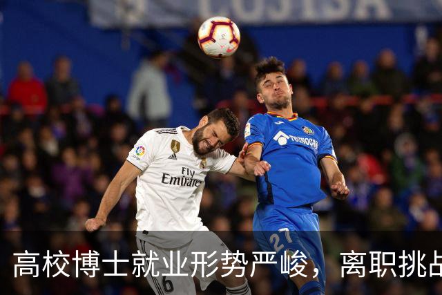 高校博士就业形势严峻，离职挑战重重