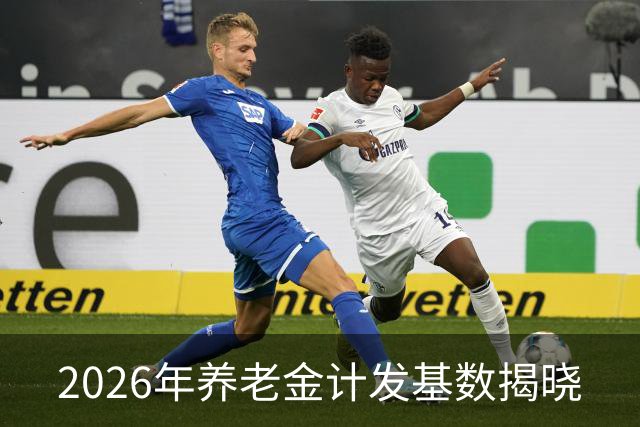 2026年养老金计发基数揭晓